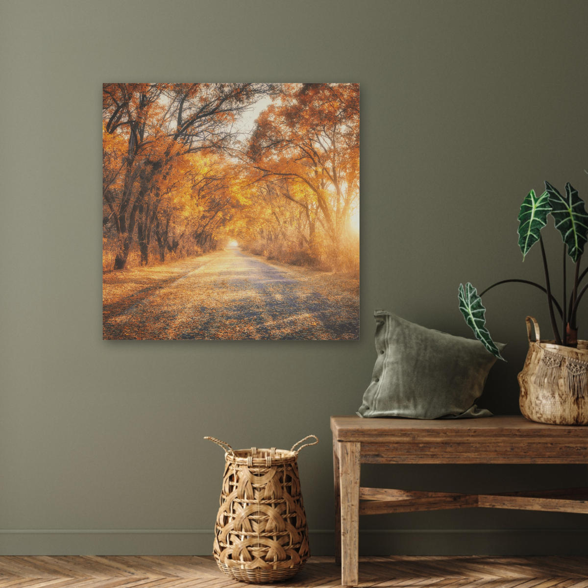 AKUSTIKBILD Wald - Herbst - Bäume - Waldweg - Natur Akustikpaneele 80x80 cm - Bernsteinfarben, Kunststoff (80/80/0.9cm) - MuchoWow