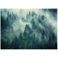 FOTOTAPETE Wald im Nebel Vliestapete 350x250 - Multicolor, Papier (350/250cm) - Wallarena