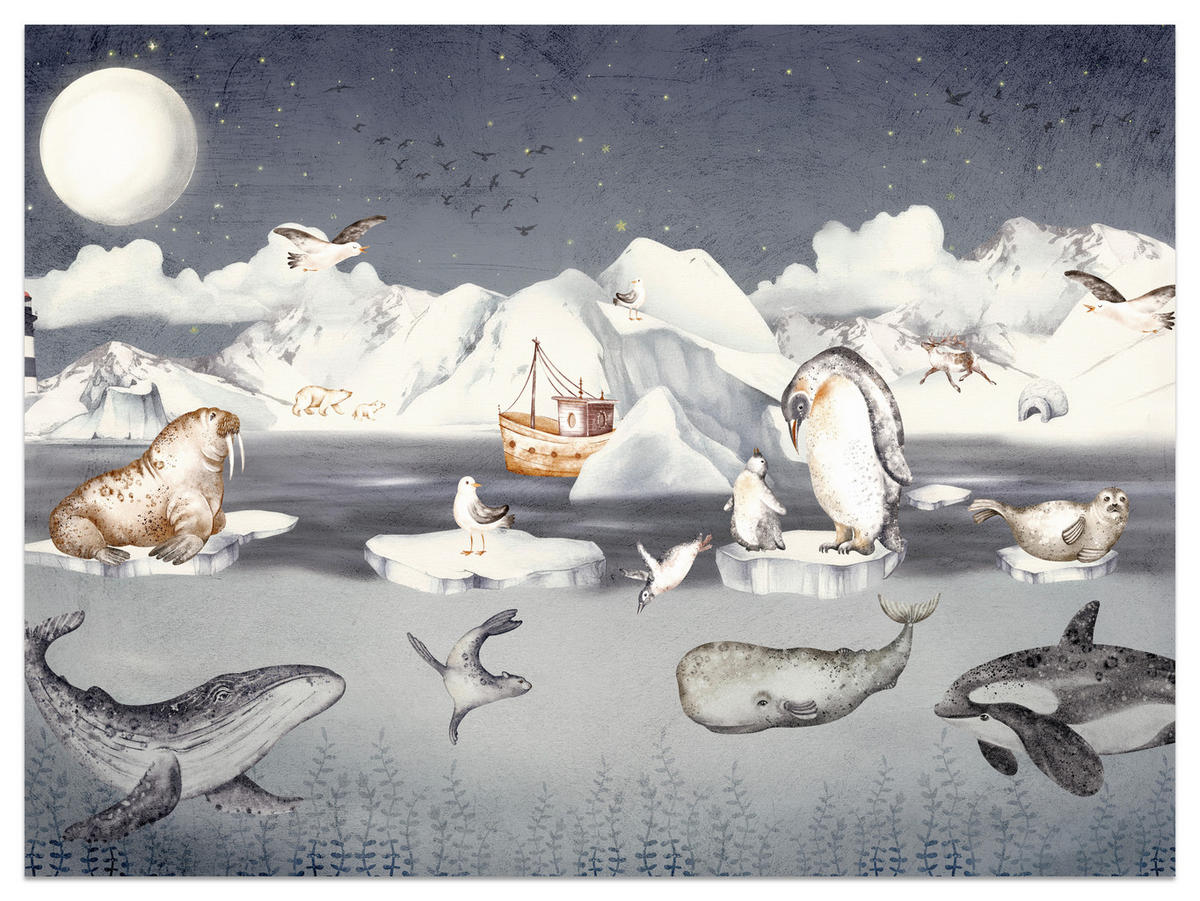 FOTOTAPETE für Kinderzimmer Arktische Tiere Pinguine Robben Mond Gebirge 400x280 - Orange/Weiß, Papier (400/280cm) - Muralo
