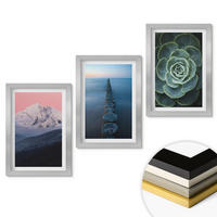 WANDBILDER 3er Set - 20x30 cm Silberner Rahmen - Berge, rosa Himmel, Wasser, Sukkulente - Silberfarben, Kunststoff (20/30cm) - ArtPrintCave