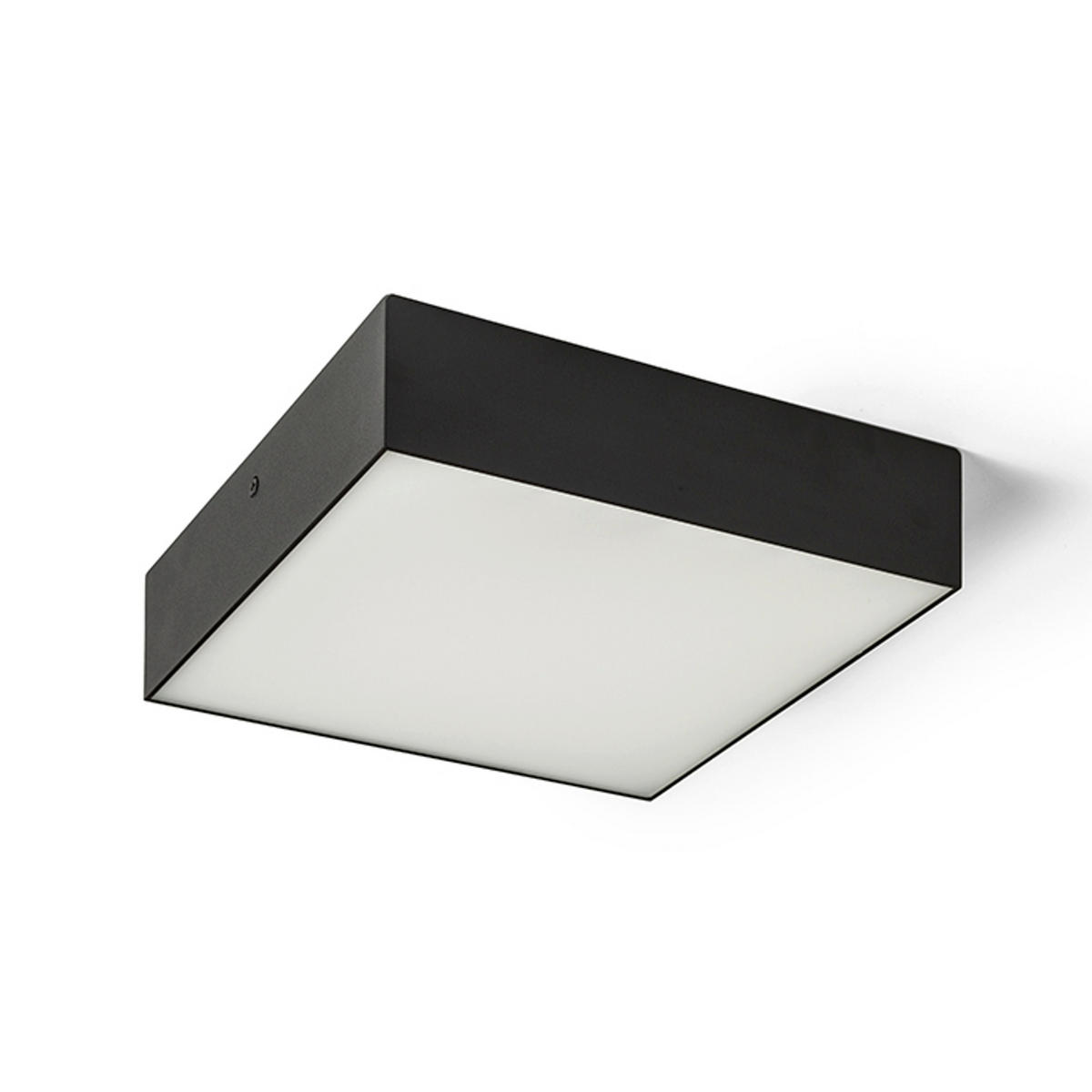 DECKENLEUCHTE LARISA SQ 22 Schwarz 20 W - Schwarz, Metall (22/22/58cm) - Rendl