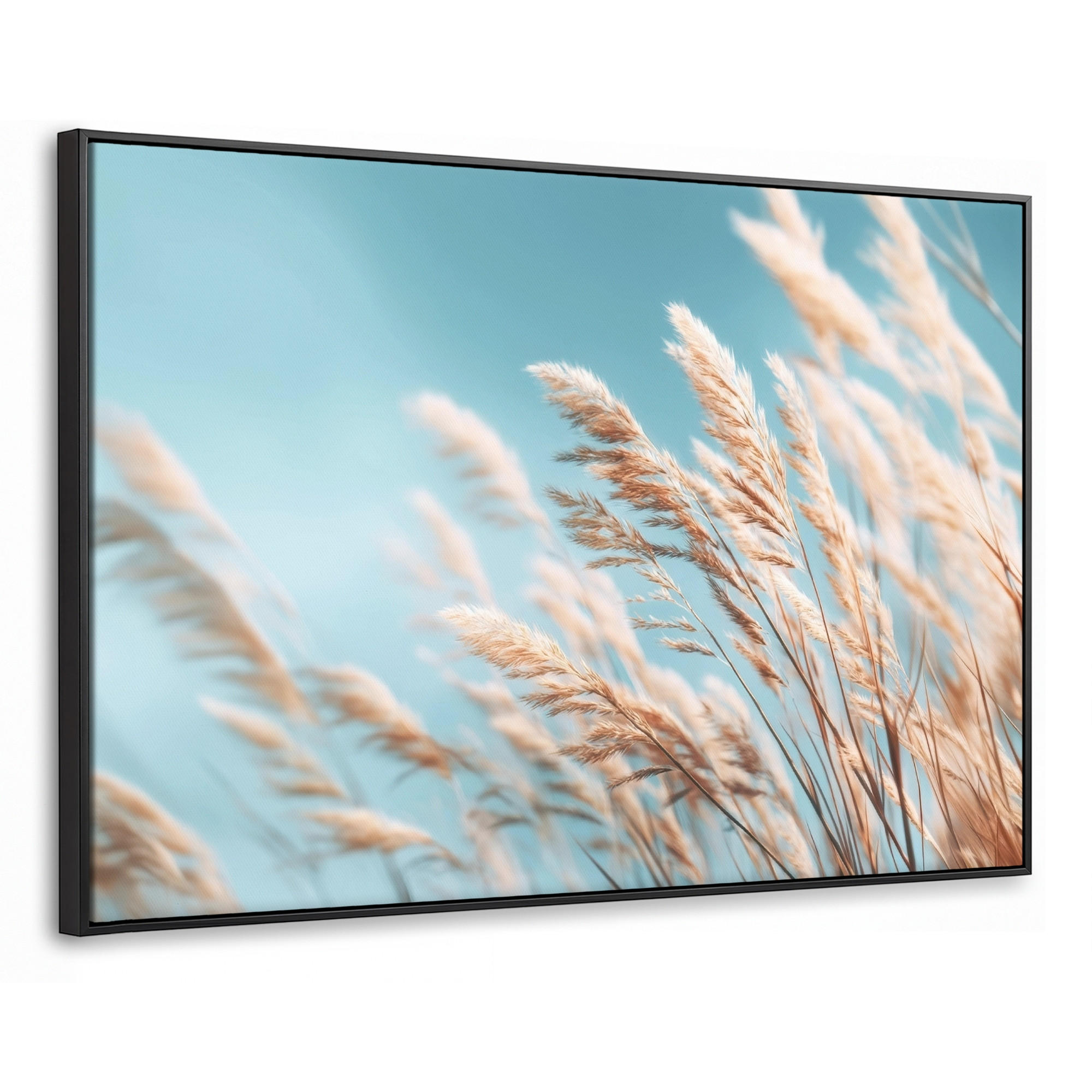 LEINWAND Bilder mit Rahmen - Ziergras - Wind - Hellbraun - 150x100 - Hellblau, Textil (150/100cm) - MuchoWow