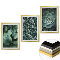 WANDBILDER 3er Set - 40x60 cm Goldrahmen - Sukkulenten im Stil grüner Blätter - Goldfarben, Kunststoff (40/60cm) - ArtPrintCave