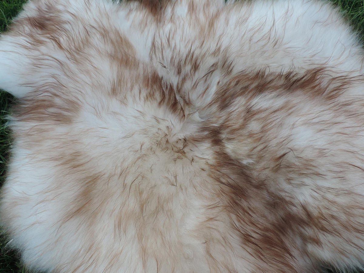 SCHAFFELL Natur Lammfell Weich Flauschig Wohnteppich, Mufflon, ca. 110 cm - Hellbraun, Fell (60/110cm) - Provellus