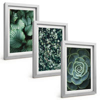 BILDER SET 3er Set - 20x30 cm Silberner Rahmen - Sukkulenten im Stil grüner Blätter - Silberfarben, Kunststoff (20/30cm) - TULUP