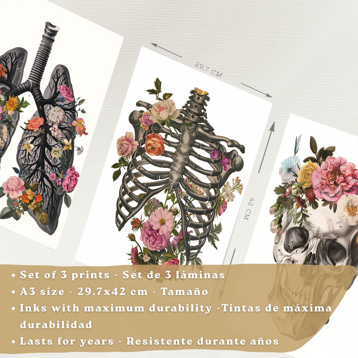 POSTER Set aus 3 Anatomie Mensch Drucke und mit Lungen Luftröhre Bronchien Rippen Wirbelsäule und Schädel Modernes Florales Größe Weißer Rahmen A3 - Weiß, Papier (29.7/42/3cm) - Nacnic