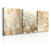 LEINWANDBILDER 3-es Set Pflanzen Natur - Beige/Weiß, Textil (90/40cm) - Muralo