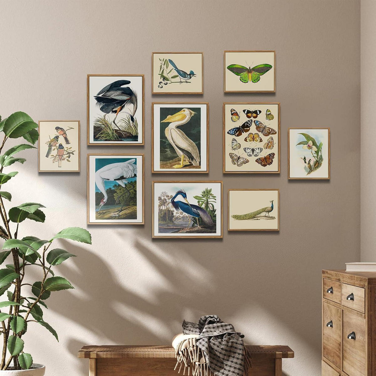 LEINWANDBILD mit Rahmen Vogelmotiv 30 x 40 cm - Blau, Holz (30/0.5cm)