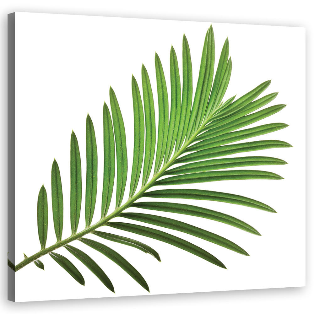 WANDBILD blumen grün - Grün, Textil (50/50cm) - Feeby