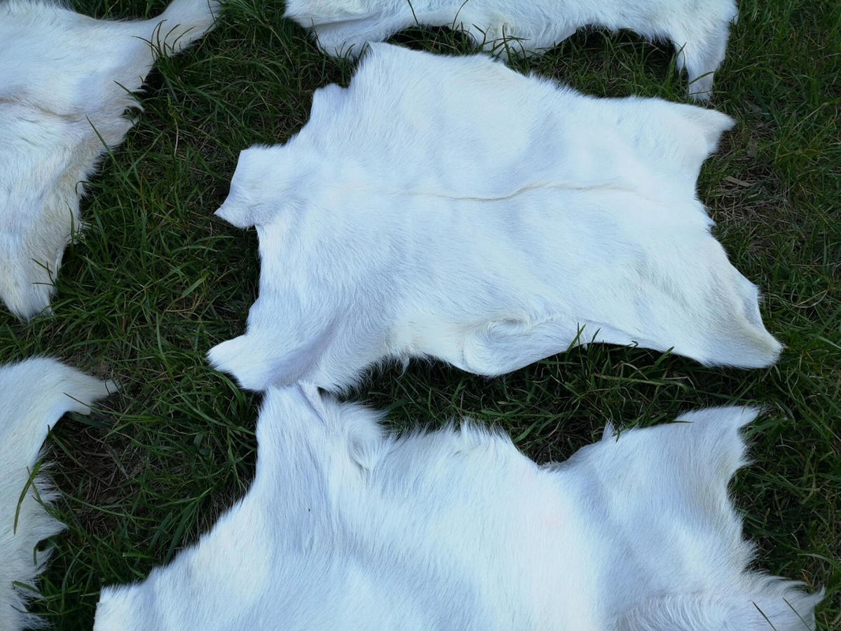 ZIEGENFELL Naturfell weich geruchsneutral Schnäppchen Weiß ca. 60 cm - Weiß, Fell (36/60cm) - Provellus