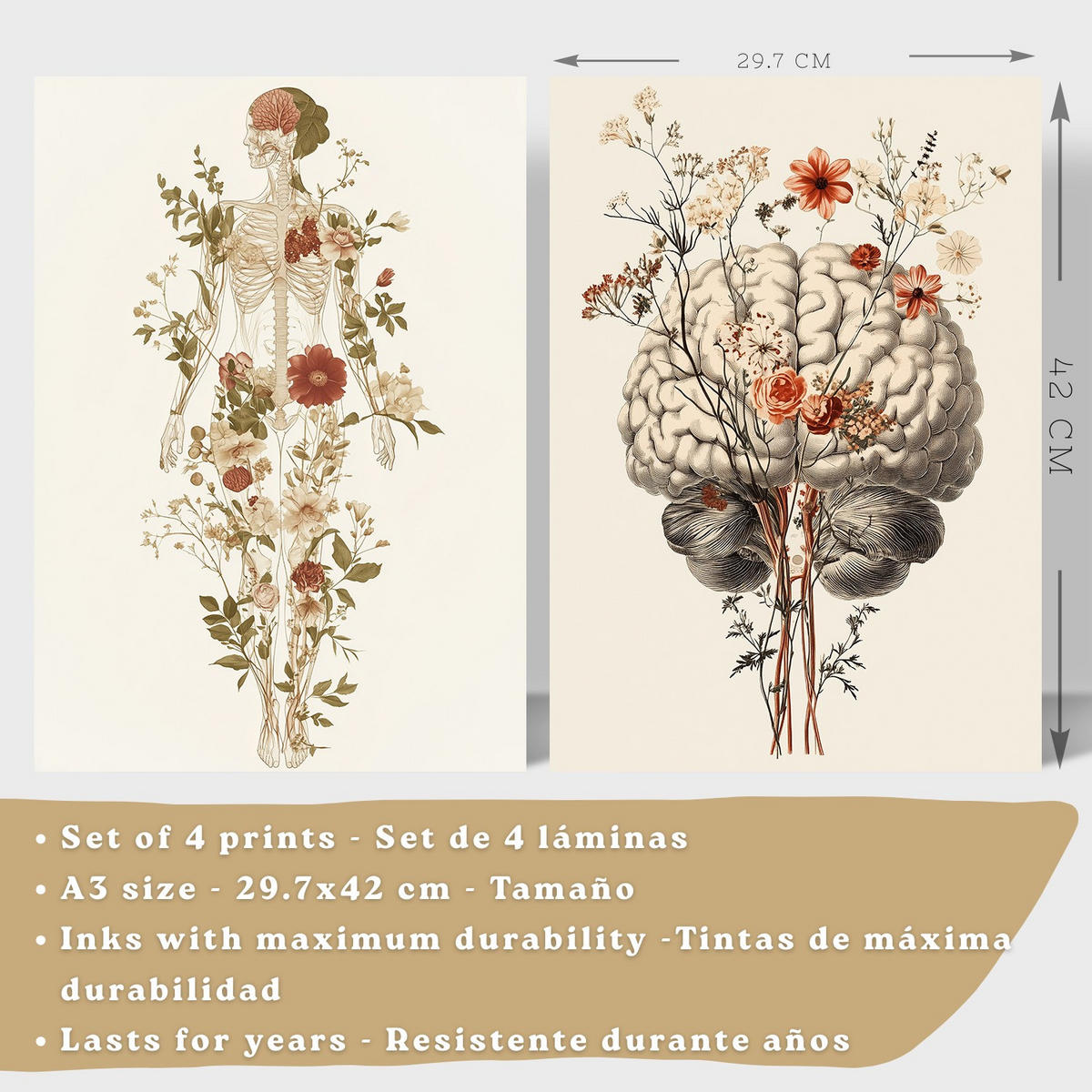 POSTER Set aus 4 Anatomie Mensch Dekorative Drucke und Wandbilder mit Blumen Ganzkörper Gehirn Hand und Herz Stil Größe Schwarzer Rahmen A3 - Schwarz, Papier (29.7/42/3cm) - Nacnic