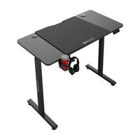 COMPUTERTISCH Stryn - Schwarz, Metall (60/120/117cm) - pro.tec