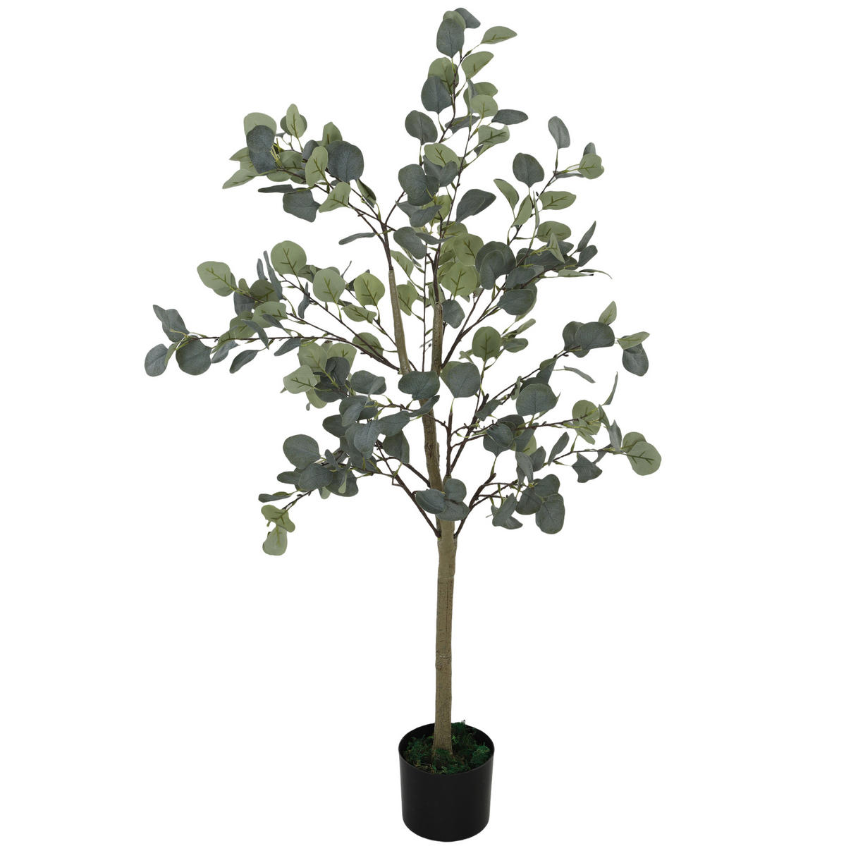 KÜNSTLICHER Eucalyptus Baum groß 150 cm - Grün, Kunststoff (150cm) - HOMCOM