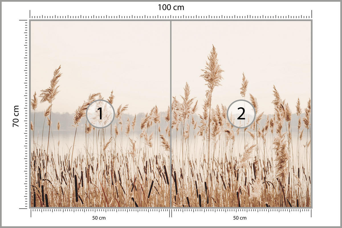 FOTOTAPETE für Wohnzimmer Pflanzen Natur 100x70 - Beige/Braun, Papier (100/70cm) - Muralo