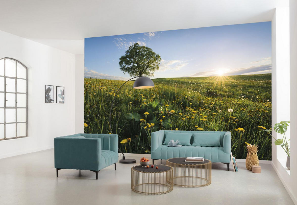 FOTOTAPETE Natur-motiv 450 x 280 cm - Grün, Papier (450/280cm) - Sanders & Sanders