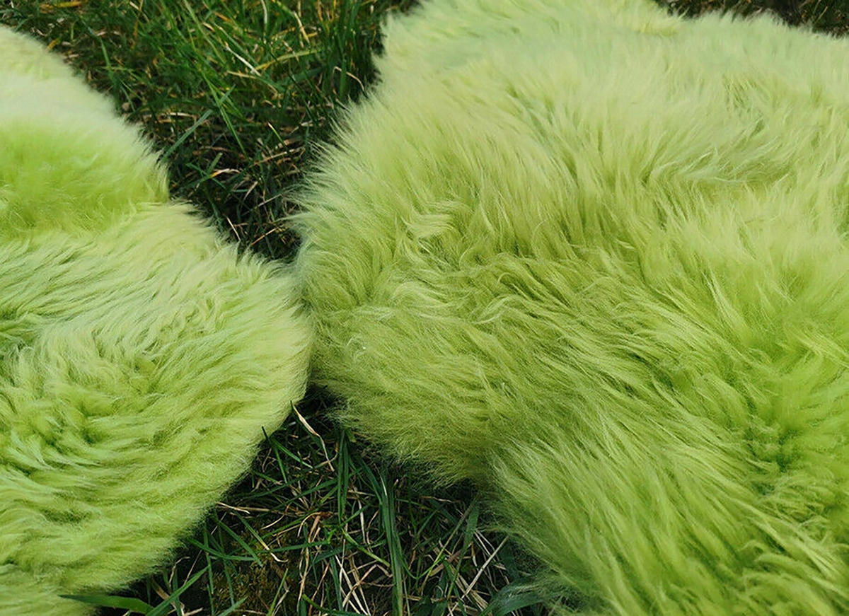 LAMMFELL Öko bunt gefärbt weich Fell Teppich Grünapfel ca. 90 cm - Grün, Fell (50/90cm) - Provellus