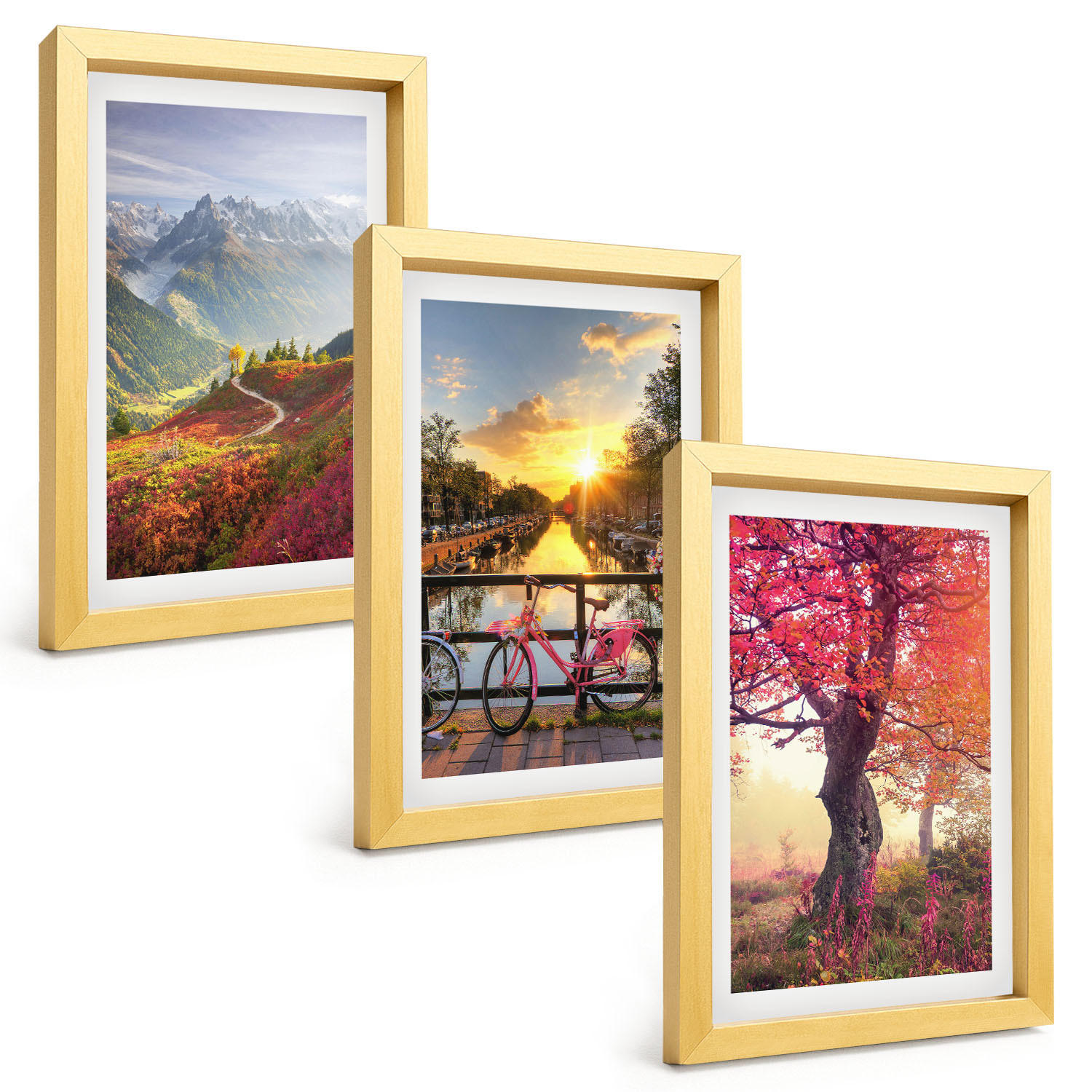 BILDER SET 3er Set - 20x30 cm Goldrahmen - Berglandschaften mit dem Fahrrad - Goldfarben, Kunststoff (20/30cm) - TULUP