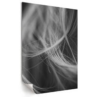 POSTER - 59x84 cm - Pixel - Verfilztes Haar - Weiß, Textil (59/84/0.1cm) - TULUP