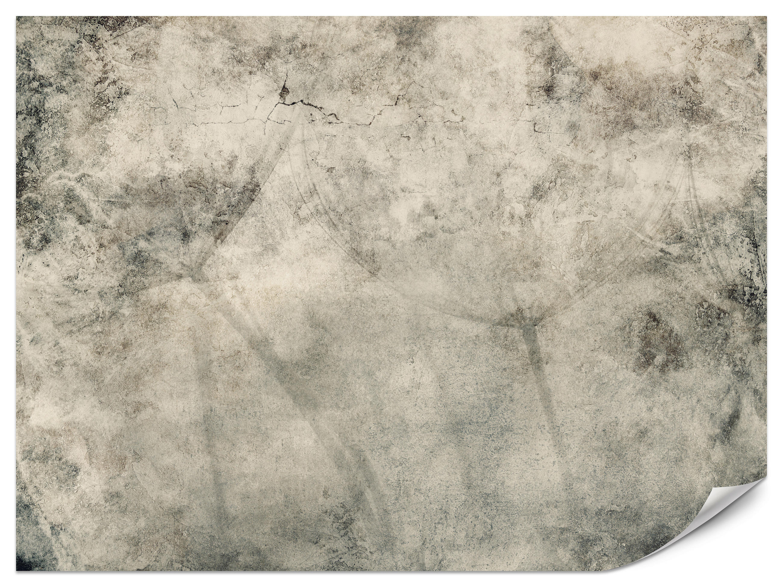 FOTOTAPETE Löwenzahnsamen Beton Vintage Stil 250x175 - Beige/Braun, Papier (250/175cm) - Muralo