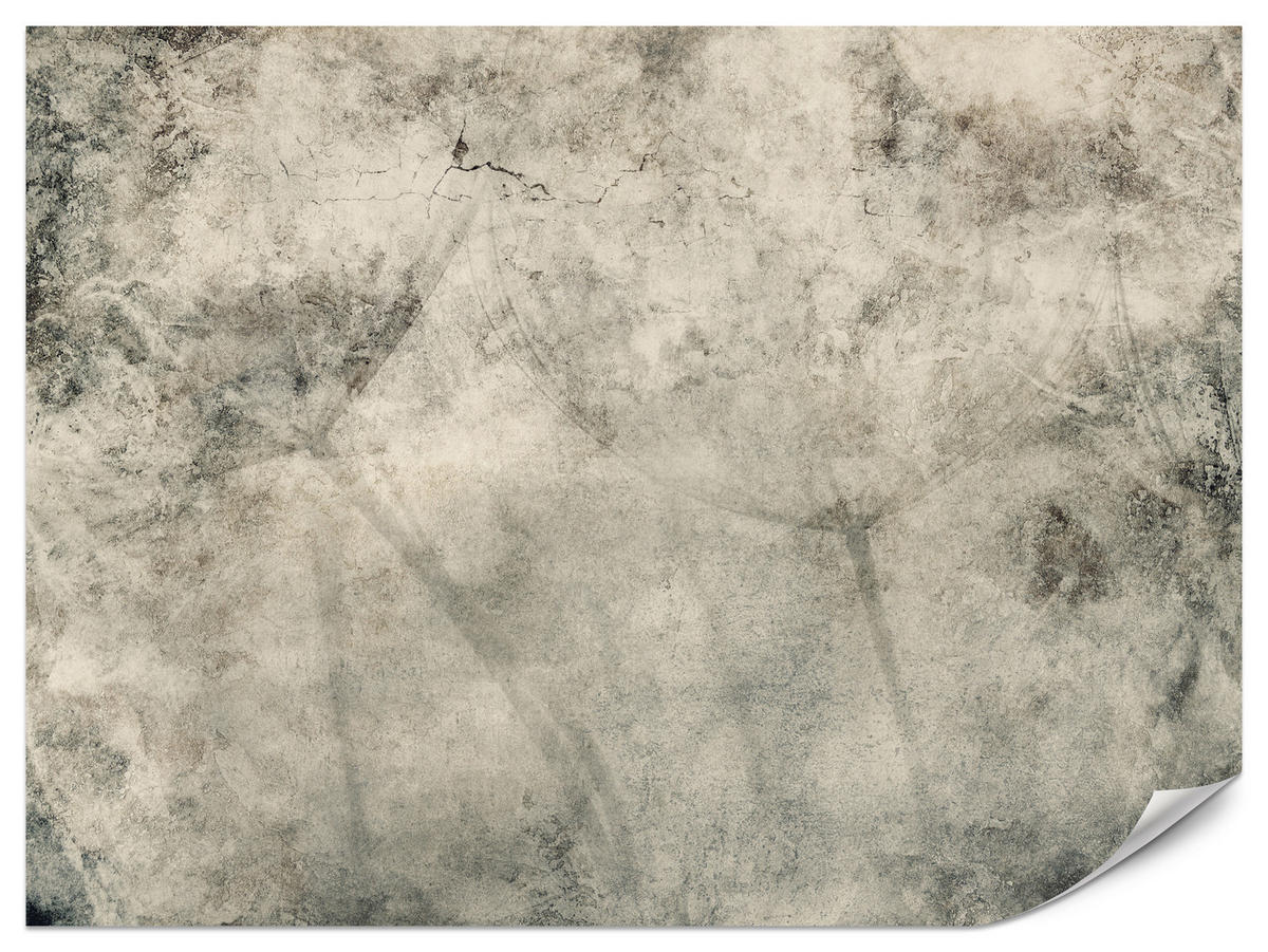 FOTOTAPETE für Wohnzimmer Löwenzahnsamen Beton Abstraktion Retro 250x175 - Beige/Braun, Papier (250/175cm) - Muralo