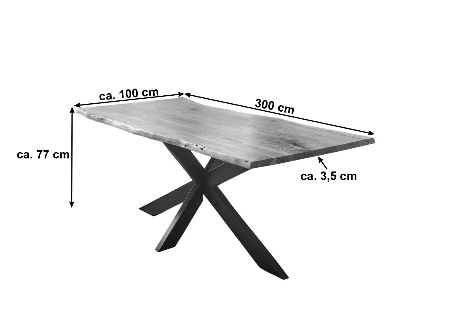 ESSTISCH TABEA - Beige/Schwarz, Holz/Metall (100/300/77cm) - SAM