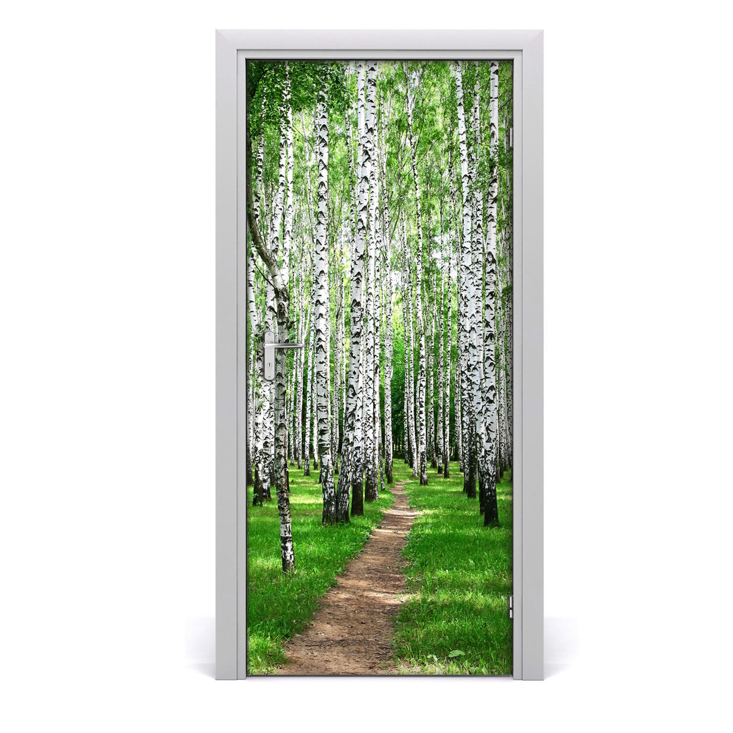 TÜRAUFKLEBER 95x205 cm Dekorativ für Türen - Grün, Kunststoff (95/205/0.01cm) - TULUP