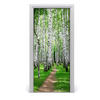 TÜRAUFKLEBER 95x205 cm Dekorativ für Türen - Grün, Kunststoff (95/205/0.01cm) - TULUP