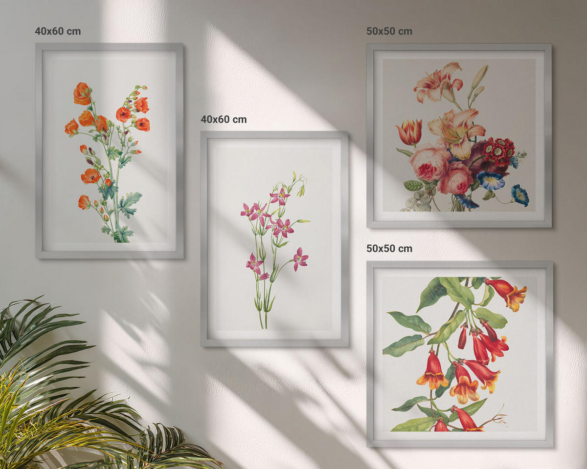 BILDER SET 4er Set - 50x50 cm & 40x60 cm Silberner Rahmen - Blumenmalerei im Retro-Stil - Silberfarben, Kunststoff (50/50cm) - TULUP