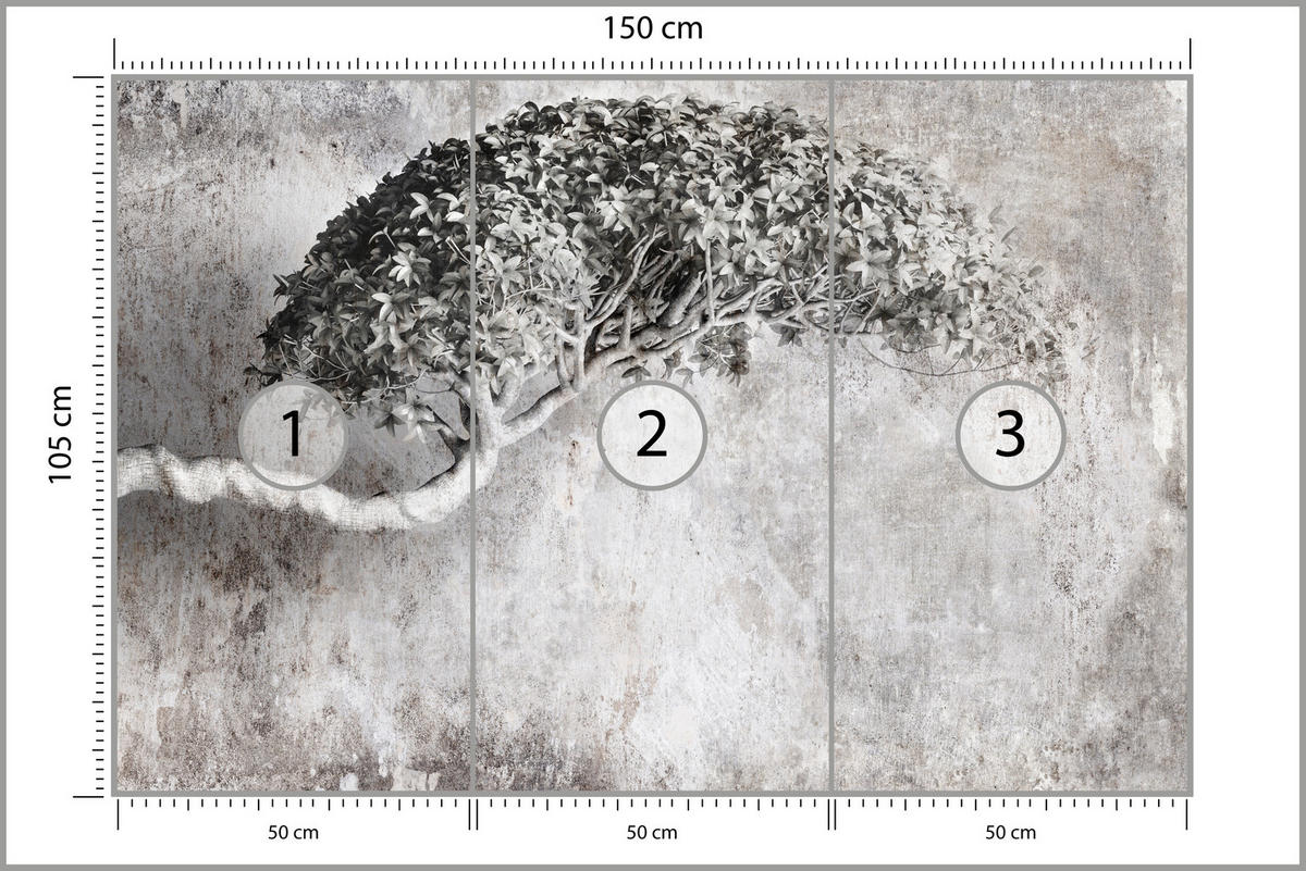 FOTOTAPETE Abstrakter Baum Beton Vintage Grau Blätter Natur 150x105 - Schwarz/Grau, Papier (150/105cm) - Muralo