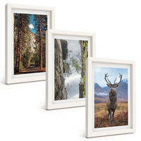 BILDER SET 3er Set - 20x30 cm Weißer Rahmen - Straße Wald Berge Hirsch Natur - Weiß, Kunststoff (20/30cm) - TULUP