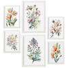 POSTER Set Mit 6 Blumenstrauß Größe A3 & A4 Weißer Rahmen - Weiß, Papier (29.7/1cm) - Nacnic