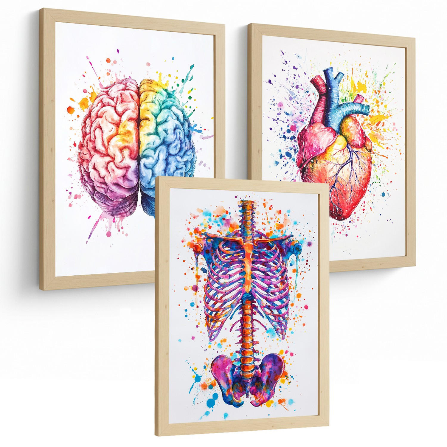 POSTER Set aus 3 Anatomie Mensch Drucke und Wandbilder mit Gehirn Herz Rippen Wirbelsäule Lebendiges Aquarell Design Wanddekoration Größe Rahmenlos A4 - Klar, Papier (21/29.7/3cm) - Nacnic
