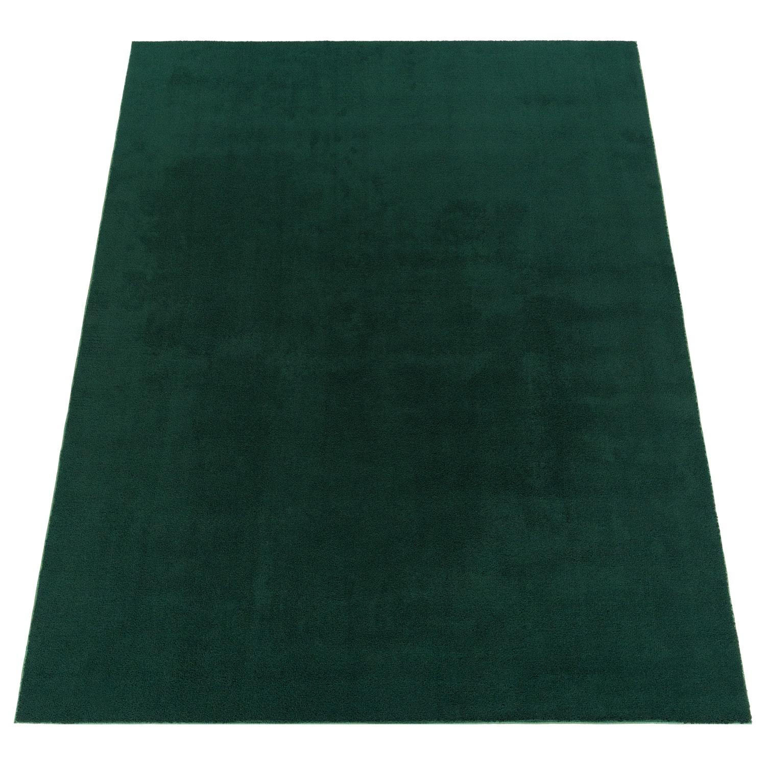 KURZFLOR-TEPPICH CADIZ 630 GRÜN 240X340 - Grün, Kunststoff (240/340cm) - Paco Home