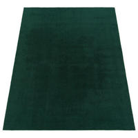 KURZFLOR-TEPPICH CADIZ 630 GRÜN 240X340 - Grün, Kunststoff (240/340cm) - Paco Home