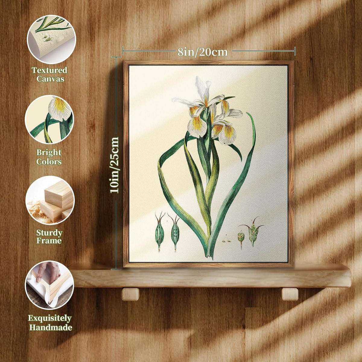 LEINWANDBILD mit Rahmen Iris Botanisch 20 x 25 cm - Multicolor, Holz (20/0.5cm)