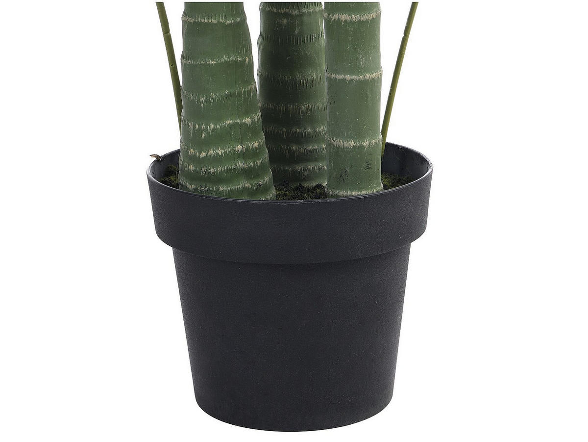 KUNSTPFLANZE - 80 cmcm x 80 cmcm - Plastik - Grün - COCONUT - Grün, Kunststoff (190cm) - Vente-Unique