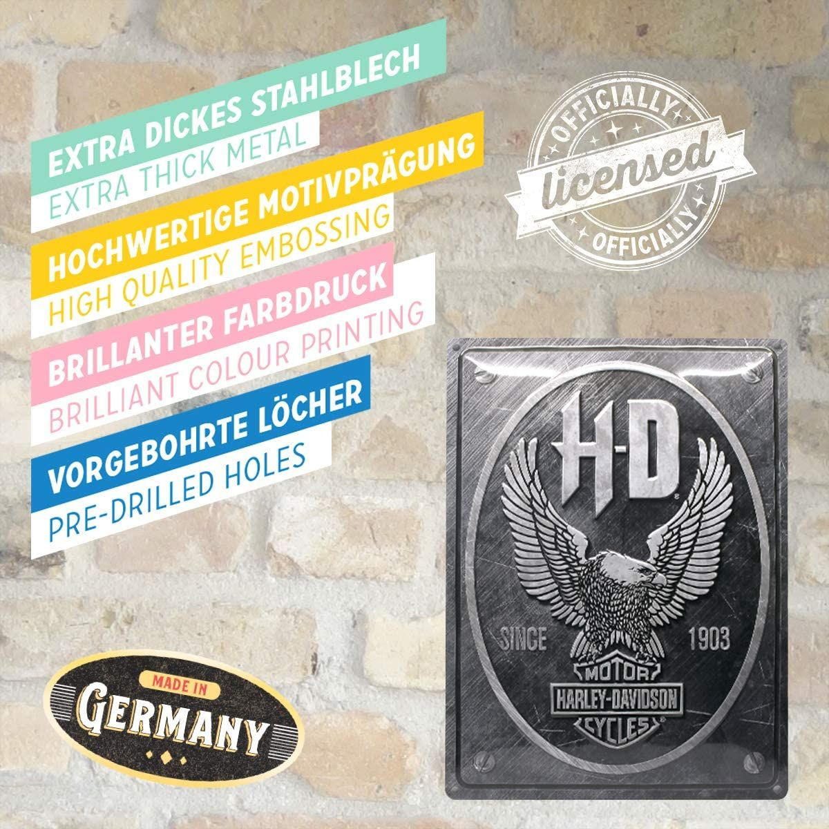 BLECHSCHILD 30/40 cm Harley-Davidson Metal Eagle - Multicolor, Metall (30/40/0.2cm) - Nostalgic-Art
