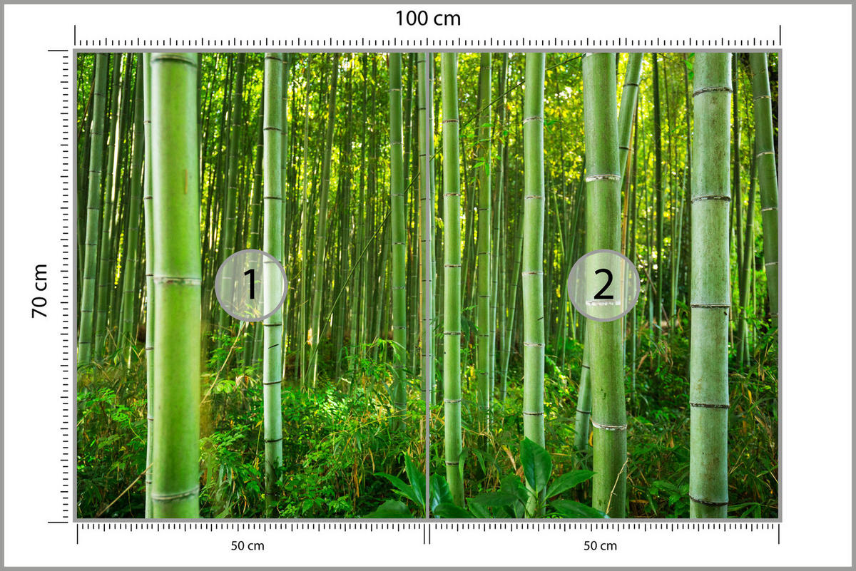 FOTOTAPETA Bambusový Les Rastliny Príroda 3D 100 x 70 cm - žltá/zelená, papier (100/70cm) - Muralo