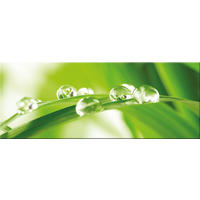 GLASBILD 80x30 cm Blatt Wassertropfen Grün - Grün, Glas (80/30cm) - artissimo