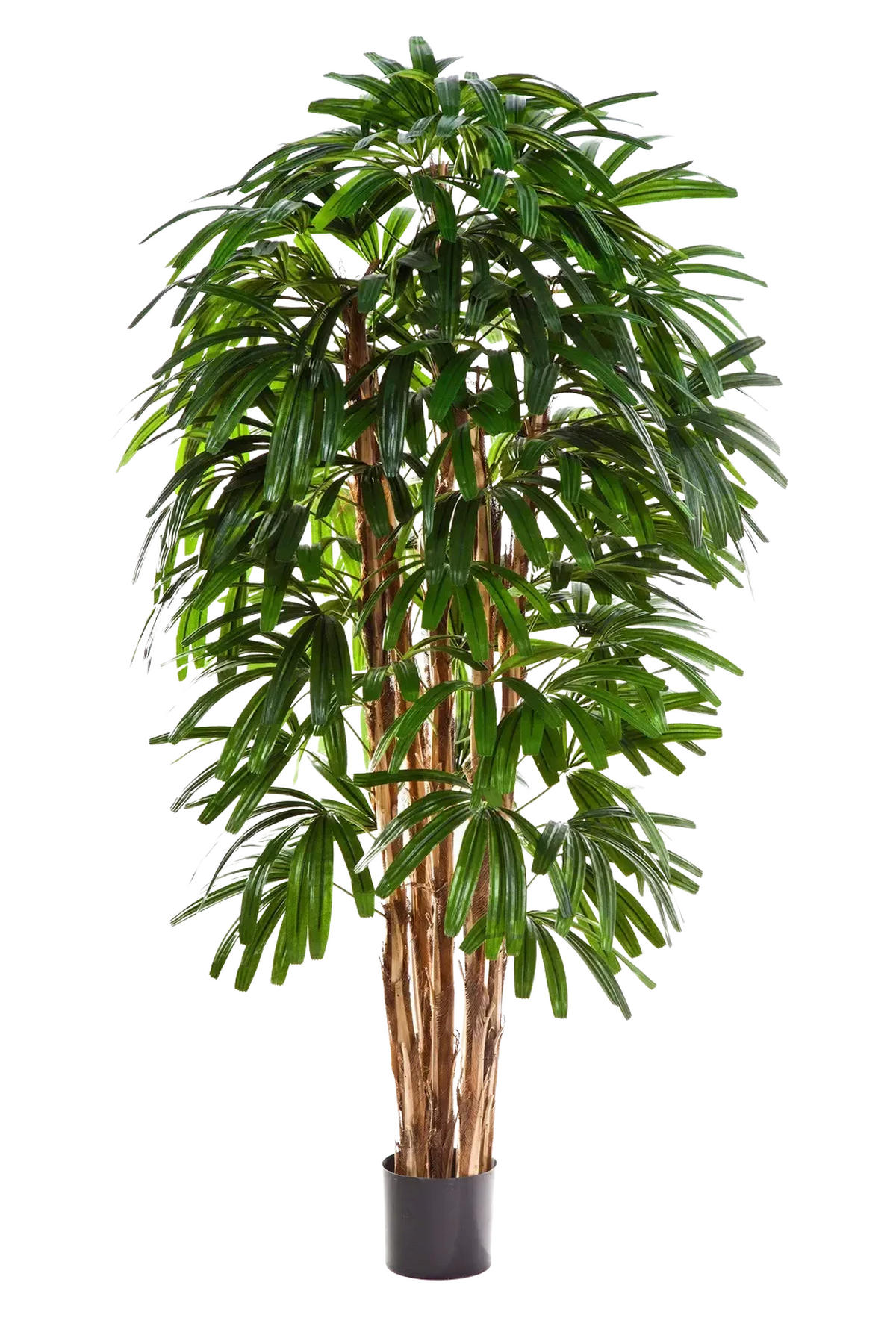 PALMEN Künstliche Steckenpalme - Noemi 210 cm - Grün, Kunststoff (210cm) - aplanta