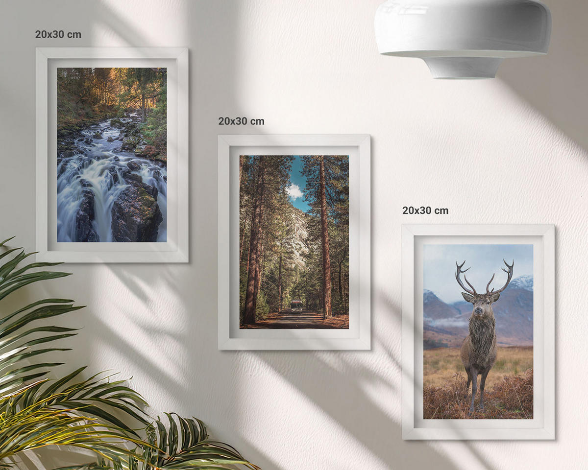 BILDER SET 3er Set - 20x30 cm Weißer Rahmen - Wasserfall Wald Berge Hirsch Natur - Weiß, Kunststoff (20/30cm) - TULUP