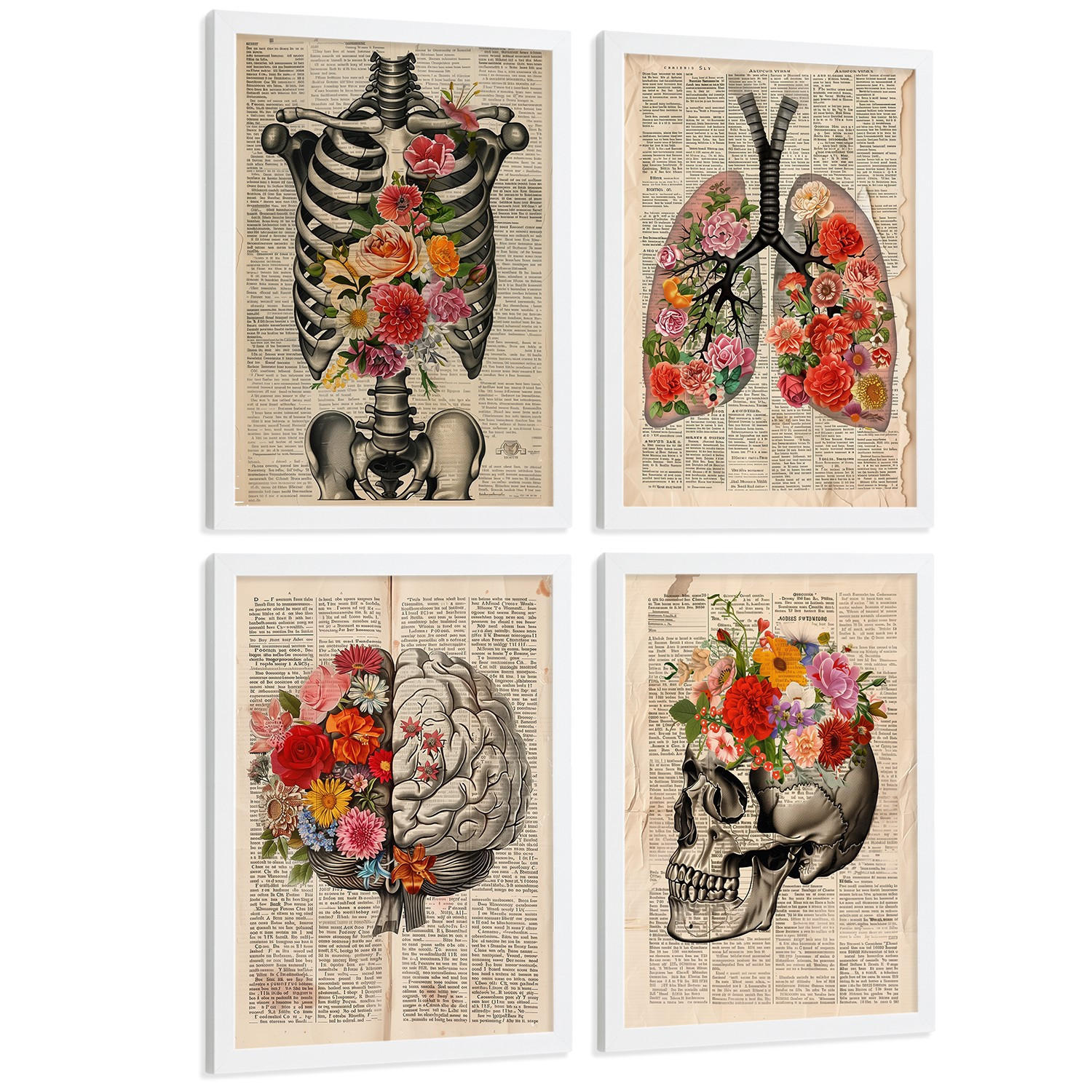 POSTER Set aus 4 Vintage Anatomie und Wandbilder mit Rippen Wirbelsäule Lungen Luftröhre Bronchien Gehirn und Schädel Größe Weißer Rahmen A4 - Weiß, Papier (21/29.7/3cm) - Nacnic