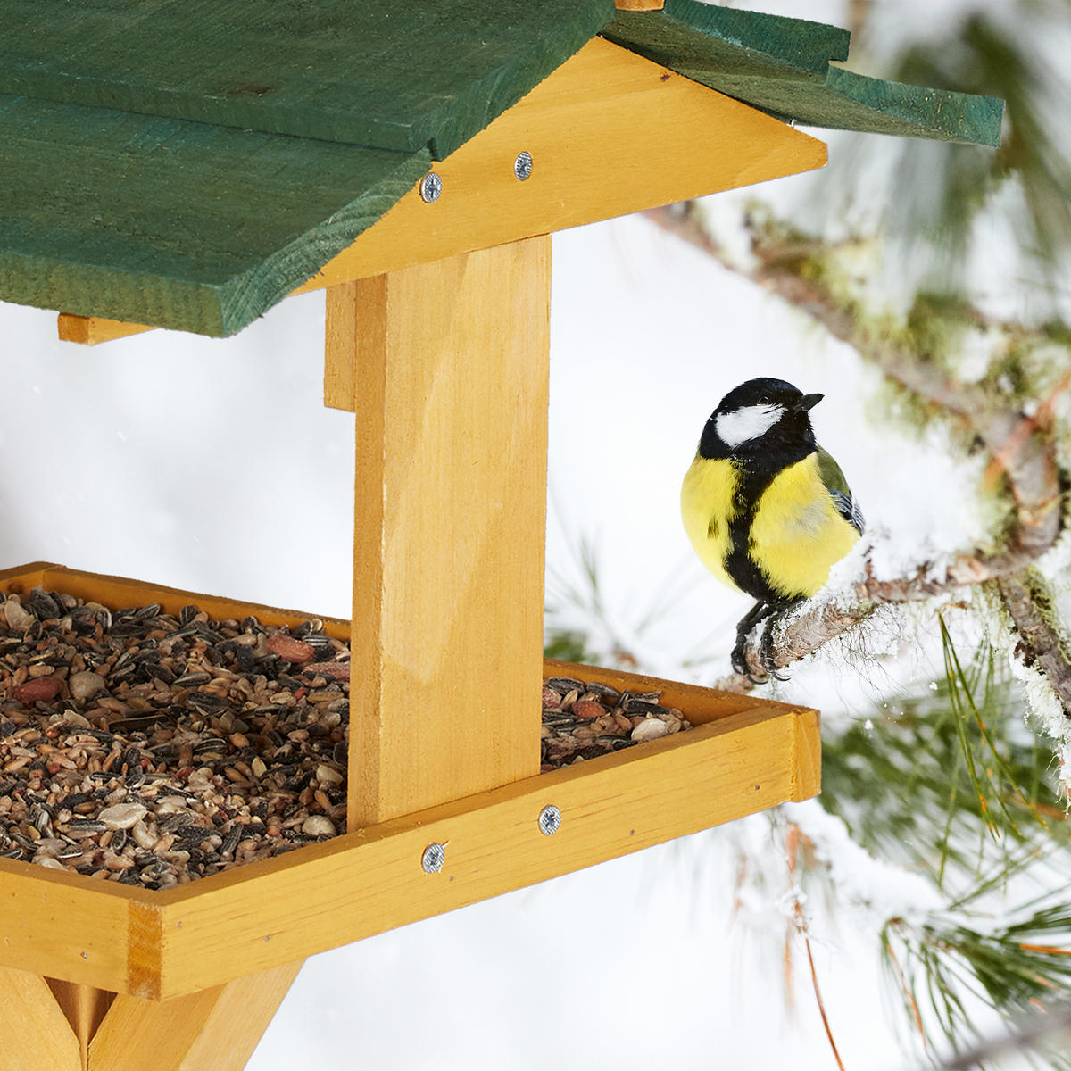 VOGELHAUS - Hellbraun, Holz (34/117/36cm) - Relaxdays