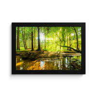 POSTER MIT RAHMENGERAHMTES BILD Wald - Landschaft - Wasser - Bäume - Sonne - Grün - Natur 30x20 cm - Grün, Papier (30/20cm) - MuchoWow