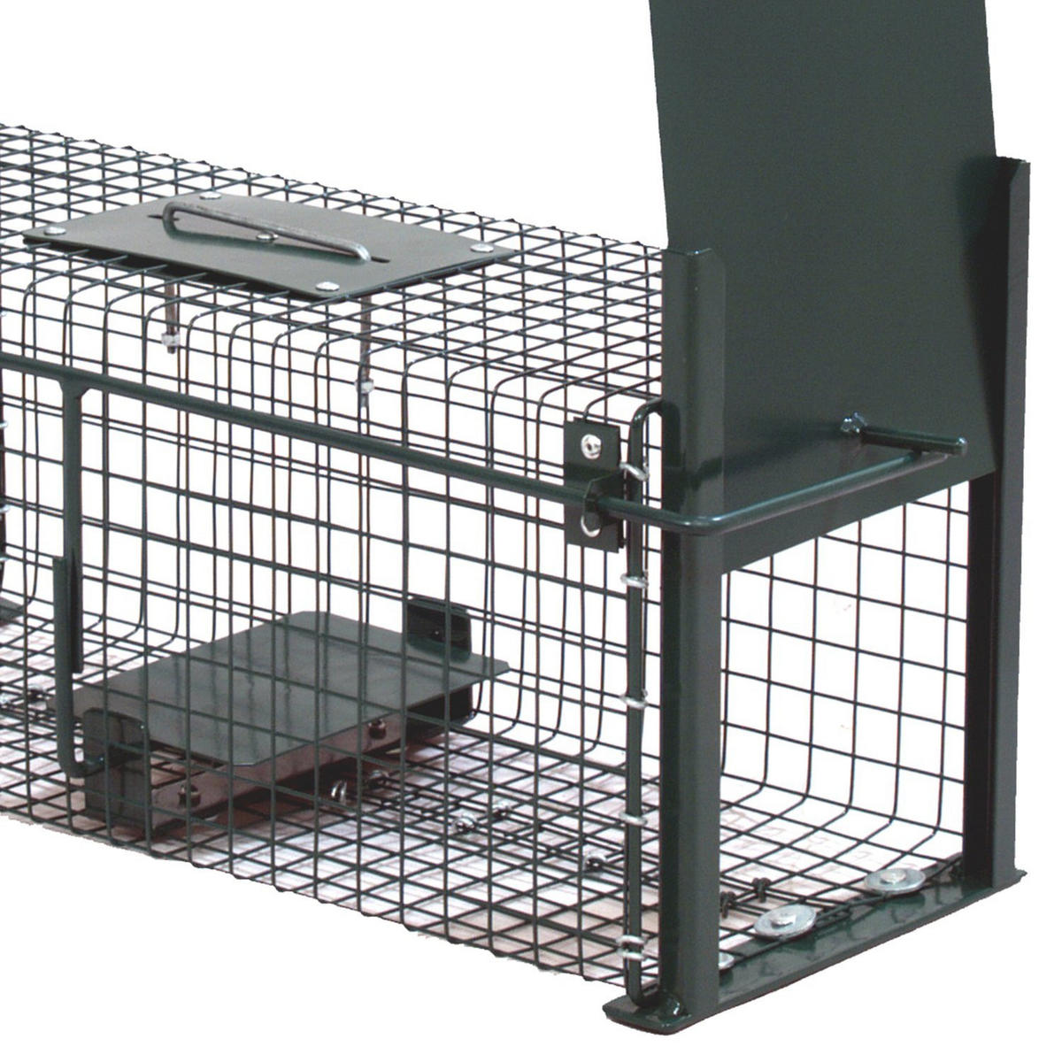 MOORLAND Safe 5006 – Lebendfalle 18 x 18 x 50 cm, 2 Eingänge, 1,8 mm Drahtgitter - Grün, Holz (18/18/50cm) - Moorland