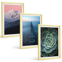 BILDER SET 3er Set - 40x60 cm Goldrahmen - Berge, rosa Himmel, Wasser, Sukkulente - Goldfarben, Kunststoff (40/60cm) - TULUP