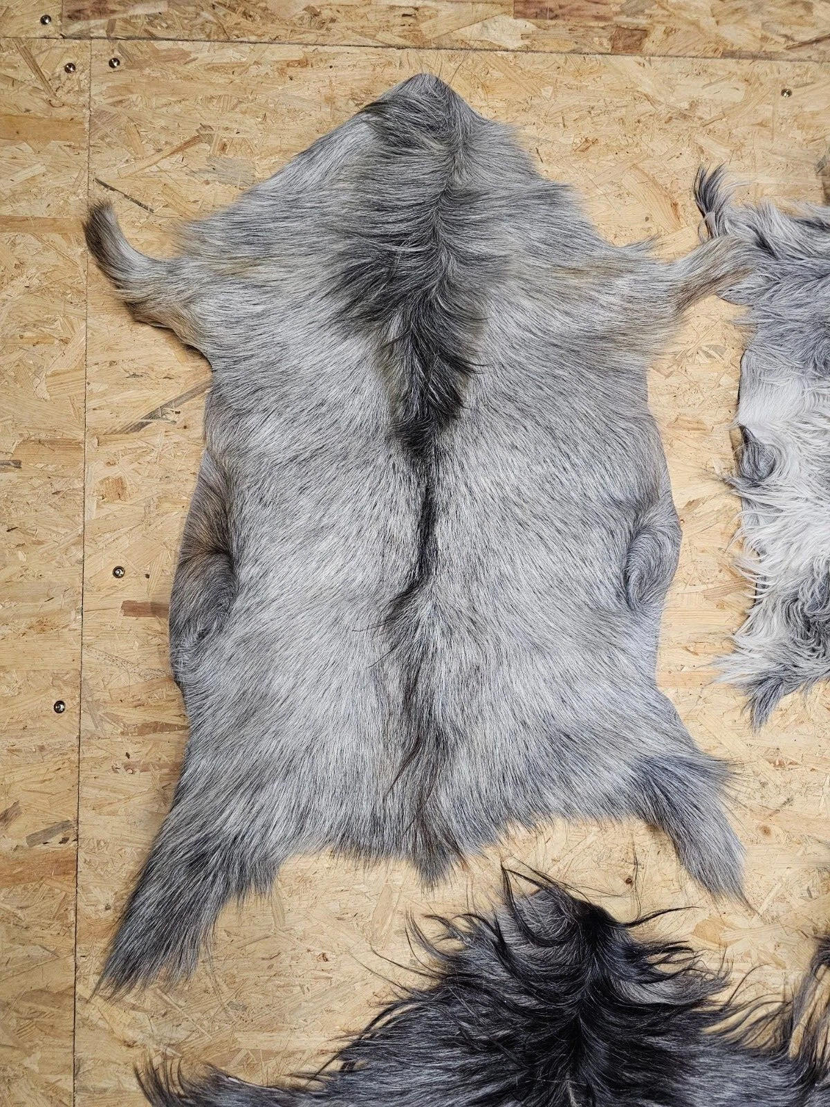 FELL Ziegenfell Graulich Naturfarben Teppich ca. 90 cm 1.Wahl - Dunkelgrau/Grau, Fell (50/90cm) - Provellus