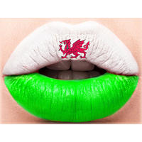 LEINWAND Bild Flaggen Wales 30/40 cm - Multicolor, Textil (40/30cm) - TiborTex
