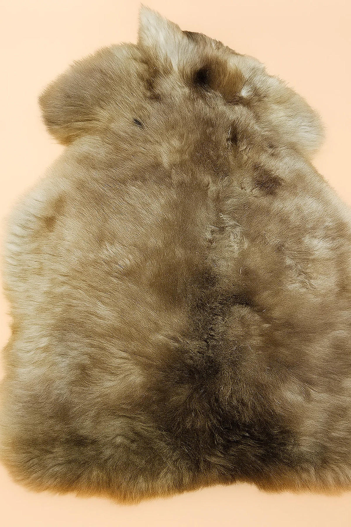 SCHAFFELL Natur Taupe ca. 110 cm - Taupe, Fell (60/110cm) - Provellus