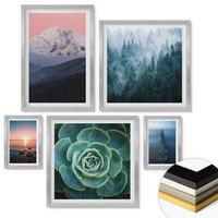 WANDBILDER 5er Set - 50x50 cm & 20x30 cm & 40x60 cm Silberner Rahmen - Wasserfälle, Berge, Landschaften, Natur - Silberfarben, Kunststoff (40/60cm) - ArtPrintCave